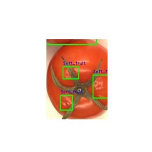 自動(dòng)果蔬分揀解決方案